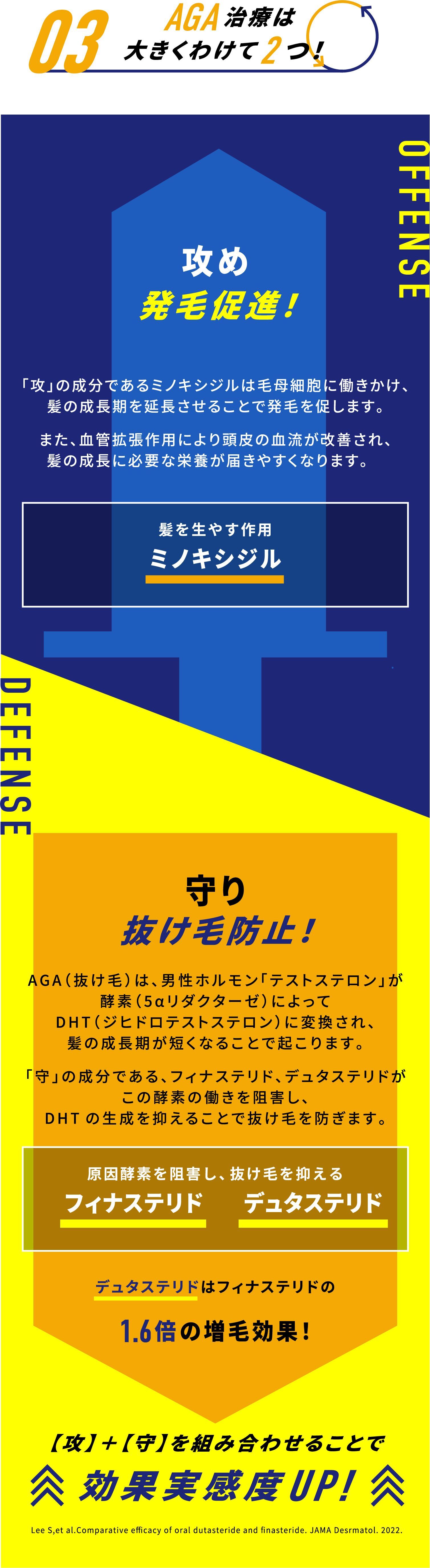 03.AGA治療は大きくわけて2つ!発毛促進・抜け毛防止